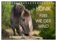 Konik - Frei geboren (Tischkalender 2026 DIN A5 quer), CALVENDO Monatskalender