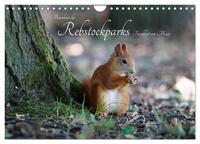 Bewohner des Rebstockparks Frankfurt am Main (Wandkalender 2025 DIN A4 quer), CALVENDO Monatskalender