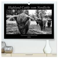 Highland Cattle vom Nordlicht - Faszination Hochland Rind (hochwertiger Premium Wandkalender 2026 DIN A2 quer), Kunstdruck in Hochglanz
