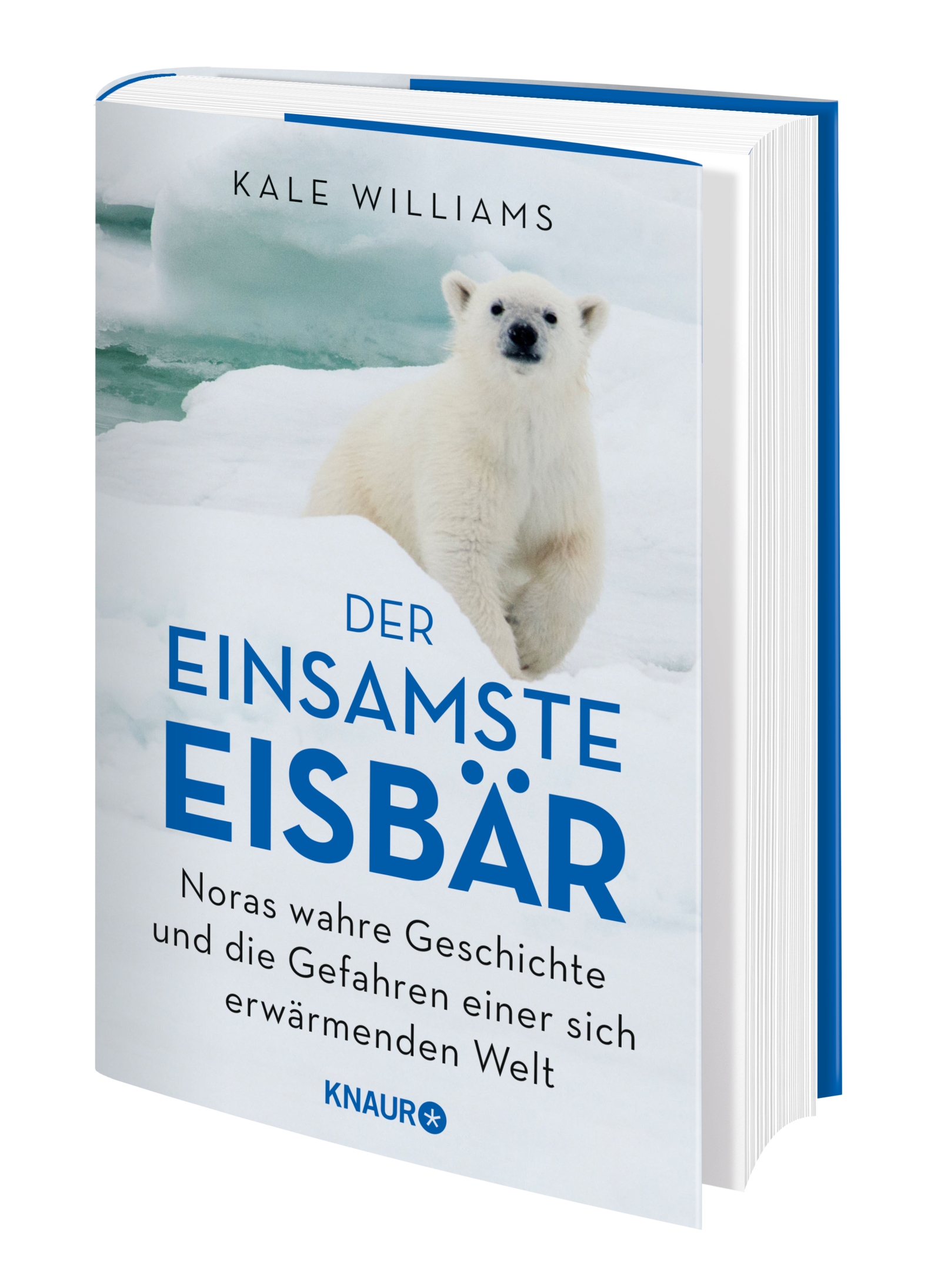 Der einsamste Eisbär