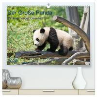 Vorderes Coverbild Der Große Panda Ein kuscheliger Geselle (hochwertiger Premium Wandkalender 2026 DIN A2 quer), Kunstdruck in Hochglanz