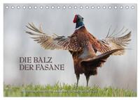Emotionale Momente: Die Balz der Fasane / CH-Version (Tischkalender 2025 DIN A5 quer), CALVENDO Monatskalender