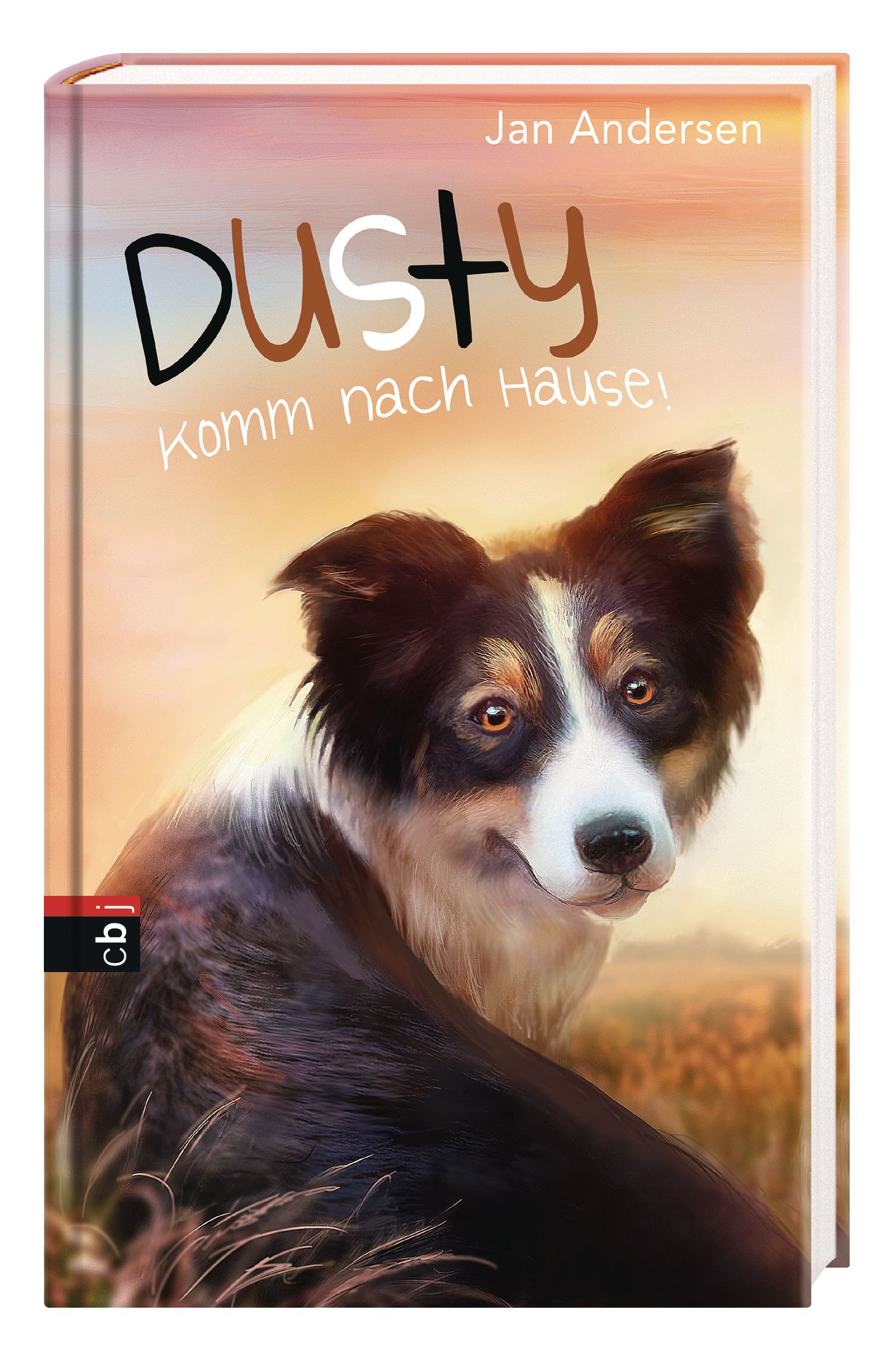 Beispielinhalt (Bild) Dusty - Komm nach Hause!