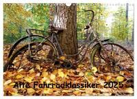 Alte Fahrradklassiker 2025 (Wandkalender 2025 DIN A3 quer), CALVENDO Monatskalender