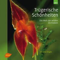 Vorderes Coverbild Trügerische Schönheiten