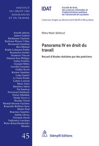 Vorderes Coverbild Panorama IV en droit du travail