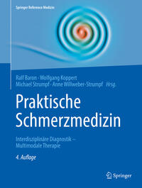 Vorderes Coverbild Praktische Schmerzmedizin