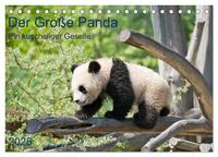 Vorderes Coverbild Der Große Panda Ein kuscheliger Geselle (Tischkalender 2025 DIN A5 quer), CALVENDO Monatskalender