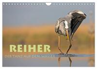 Reiher - Der Tanz auf dem Wasser (Wandkalender 2026 DIN A4 quer), CALVENDO Monatskalender