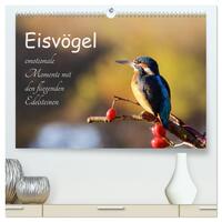 Vorderes Coverbild Eisvögel - emotionale Momente mit den fliegenden Edelsteinen (hochwertiger Premium Wandkalender 2025 DIN A2 quer), Kunstdruck in Hochglanz