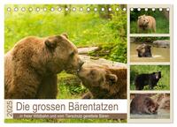 Vorderes Coverbild Die grossen Bärentatzen (Tischkalender 2025 DIN A5 quer), CALVENDO Monatskalender