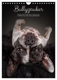 Bullyzauber - Französische Bulldoggen (Wandkalender 2026 DIN A4 hoch), CALVENDO Monatskalender