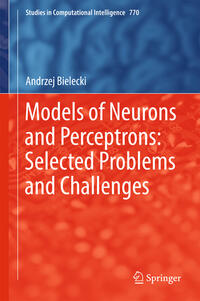 Models of Neurons and Perceptrons: Selected Problems and Challenges