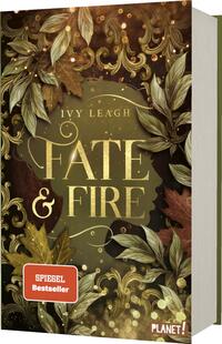 Vorderes Coverbild Die Nordlicht-Saga 1: Fate and Fire