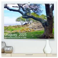 Vorderes Coverbild Uruguay - Bienvenido al Río de la Plata (hochwertiger Premium Wandkalender 2025 DIN A2 quer), Kunstdruck in Hochglanz