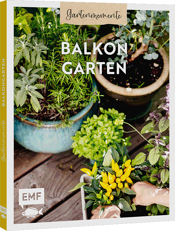 Gartenmomente: Balkongarten