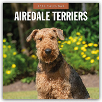 Airdale Terriers – Airdale Terrier 2026 – 16-Monatskalender