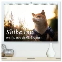 Vorderes Coverbild Shiba Inu - mutig, treu, selbstbewusst (hochwertiger Premium Wandkalender 2025 DIN A2 quer), Kunstdruck in Hochglanz