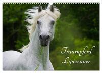 Traumpferd Lipizzaner (Wandkalender 2026 DIN A3 quer), CALVENDO Monatskalender