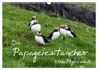 Die Papageientaucher von Mykines (Wandkalender 2025 DIN A3 quer), CALVENDO Monatskalender