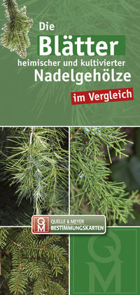 Vorderes Coverbild Die Blätter heimischer und kultivierter Nadelgehölze im Vergleich