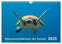 Meeresschildkröten der Karibik (Wandkalender 2025 DIN A4 quer), CALVENDO Monatskalender