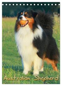 Australian Shepherd (Tischkalender 2026 DIN A5 hoch), CALVENDO Monatskalender