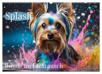 Splash - Hunde im Farbrausch (Wandkalender 2025 DIN A2 quer), CALVENDO Monatskalender