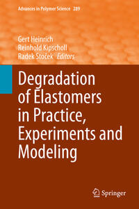 Vorderes Coverbild Degradation of Elastomers in Practice, Experiments and Modeling