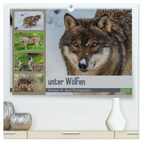 unter Wölfen (hochwertiger Premium Wandkalender 2025 DIN A2 quer), Kunstdruck in Hochglanz
