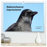 Rabenschwarze Impressionen - meike-ajo-dettlaff.de via wildvogelhlfe.org (hochwertiger Premium Wandkalender 2026 DIN A2 quer), Kunstdruck in Hochglanz