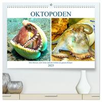 Oktopoden. Drei Herzen, acht Arme und das Gehirn im ganzen Körper (hochwertiger Premium Wandkalender 2025 DIN A2 quer), Kunstdruck in Hochglanz
