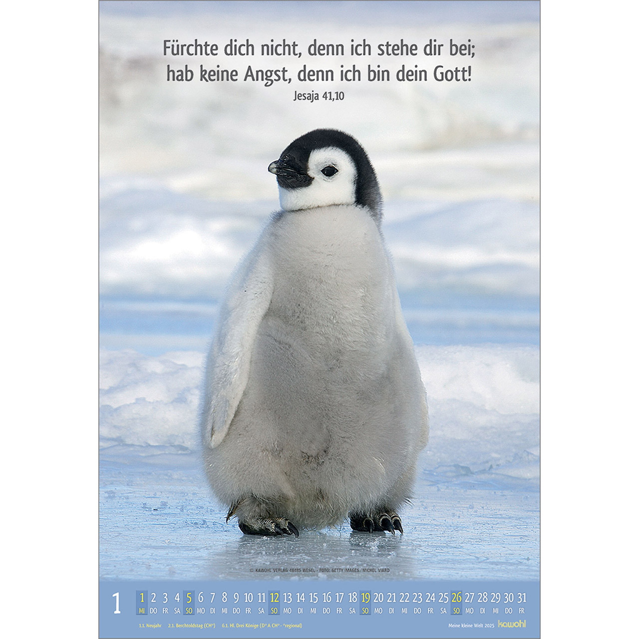 Beispielinhalt (Bild) Meine kleine Welt 2025