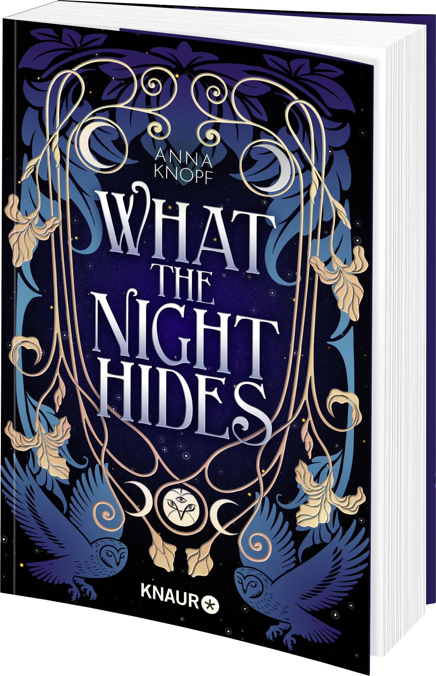 What the Night Hides