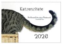 Katzenzitate 2026 (Wandkalender 2026 DIN A3 quer), CALVENDO Monatskalender