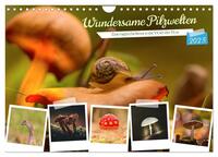 Wundersame Pilzwelten (Wandkalender 2025 DIN A4 quer), CALVENDO Monatskalender