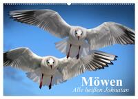 Möwen. Alle heißen Johnatan (Wandkalender 2025 DIN A2 quer), CALVENDO Monatskalender