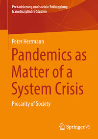 Pandemics as Matter of a System Crisis