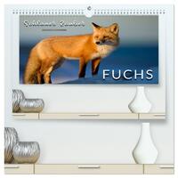 Fuchs - schlauer Räuber (hochwertiger Premium Wandkalender 2026 DIN A2 quer), Kunstdruck in Hochglanz
