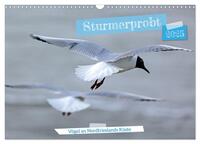 Sturmerprobt - Vögel an Nordfrieslands Küste (Wandkalender 2025 DIN A3 quer), CALVENDO Monatskalender