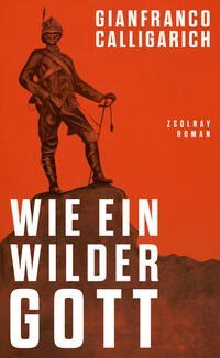 Vorderes Coverbild Wie ein wilder Gott