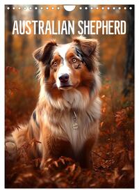 Australian Shepherd (Wandkalender 2025 DIN A4 hoch), CALVENDO Monatskalender