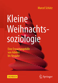 Vorderes Coverbild Kleine Weihnachtssoziologie – Eine Erwartungshilfe von Advent bis Neujahr