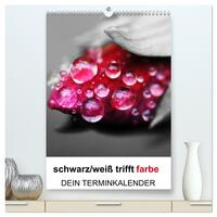 schwarz/weiß trifft farbe - DEIN TERMINKALENDER / Planer (hochwertiger Premium Wandkalender 2026 DIN A2 hoch), Kunstdruck in Hochglanz