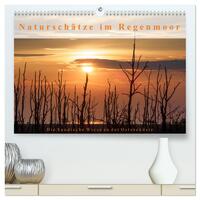 Naturschätze im Regenmoor - Die Sundische Wiese an der Ostseeküste (hochwertiger Premium Wandkalender 2025 DIN A2 quer), Kunstdruck in Hochglanz