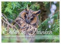 Vorderes Coverbild Eulen in Franken (Wandkalender 2025 DIN A2 quer), CALVENDO Monatskalender