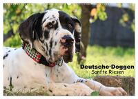 Deutsche Doggen - Sanfte Riesen (Wandkalender 2026 DIN A2 quer), CALVENDO Monatskalender