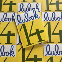 Lubok 14