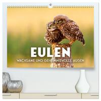 Vorderes Coverbild Eulen - Wachsame und geheimnisvolle Augen (hochwertiger Premium Wandkalender 2026 DIN A2 quer), Kunstdruck in Hochglanz