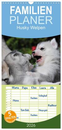 Vorderes Coverbild Familienplaner 2026 - Husky Welpen mit 5 Spalten (Wandkalender, 21 x 45 cm) CALVENDO